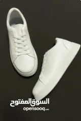  3 البيع بالجملة فقط