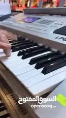  6 اورغ غربي شرقي