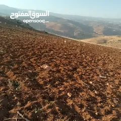 10 قطعة ارض مطله ومرتفعه على شارع جرش عمان الدولي