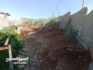  11 بيت مستقل للبيع