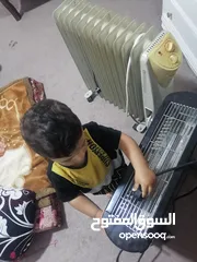  3 صوبات كهربه + بدايه زيبرا