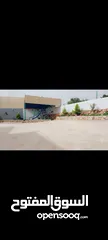  7 شالي للايجار اليومي