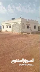  6 قطعة للبيع