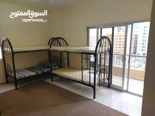  8 متاح سكن شباب عرب شيرنج بالشارقة