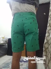  1 شورت جديد ماركهSPRINGFIEID