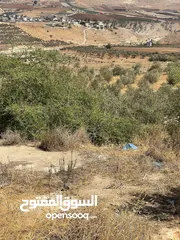  1 ارض في الباذان تصنيف A طابو عصيره الشماليه