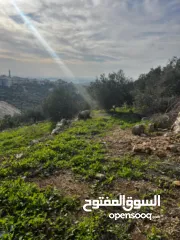  12 أرض للبيع بإطلالة غربية واصل جميع الخدمات