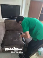  14 Bibi cleaning