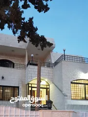  9 منزل (فيلا) مستقلة استثنائية بموقع مميز مكونة من ثلاث طوابق للبيع بسعر مغري