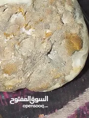 24 لا اريد المبالغه بأسماء وصفات احجاري ولكن إبحث عن نوعية وسعر كل حجر وما قوة الحجر ولإي اسباب يستخدم
