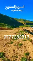  4 أمتلك 3.500دونم ونص  وادي شعيب اقساط عرض مده محدوده