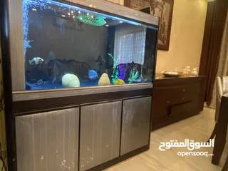  1 حوض سمك كبير مع كانستر وسمك احجام كبيرة