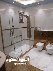  12 شقه طارق ارضي