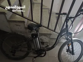  1 بسكليت كهربا 36 فولت