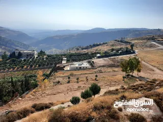  2 اراضي مميزة للبيع في عمان - ناعور - عيون الجاموس