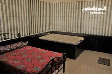  11 Furnished Apartment to Rent 210sqm ( Property 6183 )-174821910