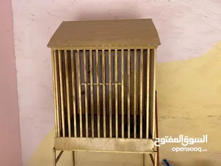  15 فراخ كوكتيل للبيع+قفاص مستعمله شبه جديده جديده قابل للبدل ع كوكتيل شغالات