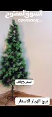  1 شجره الكرسمس