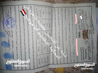  17 في محافظه حجه عبس ارض بمقدم100 الف ريال يمني فرصة لكل اليمنيين إجراءات سهله