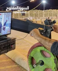  5 تصوير فيديو و فوتوغراف - عروض الصيف