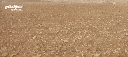  1 1250 متر للبيع بداعي السفر