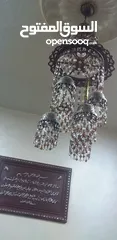  4 ثريا كرستال لون عسلي وابيض مكونه من سبع لمبات اضاءه ممتازه بسعر مغري