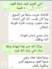  21 العود الفيتنامي خالي من المود الكيميائية ريحه طيبه وثبات ممتاز