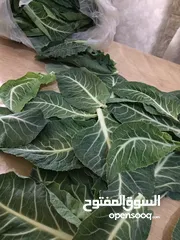  3 ورق زهرة (قرنبيط)للبيع طاازج