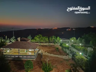  15 مزرعة مميزة ناعور المشقر