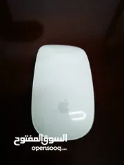  7 Apple Mouse and keyboard
