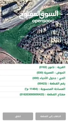  2 قطعه أرض 11.500 متر مرتفعه و مطله