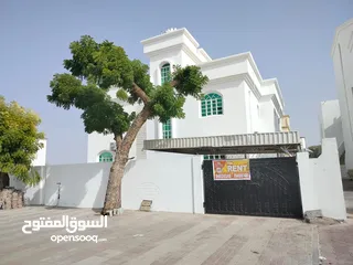  2 فيلا للإيجار في الموالح خلف سيتي سنتر - Villa For Rent In Mawaleh Behind City center