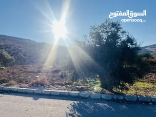  4 ارض للبيع في الكمشه بالقرب من شارع الاردن و مطعم قصر الجبل مميزه جدا