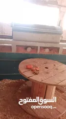  7 جاروشه وكساره