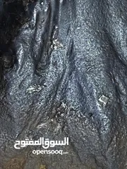  26 Jabal Kamel Hadidi meteorites, Tripoli, Libya, weight: one kilogram and 200 gram