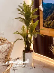  2 اطلب الان قبل نفاذ الكمية  شجرة النخيل السحرية بالحجم السوبر  جمال وأناقة تسرق الأنظار من أول نظرة