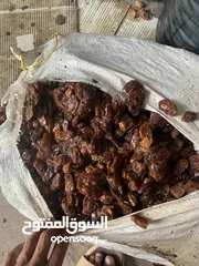  2 جواني سح نفيعه للحلال نضيف جدا