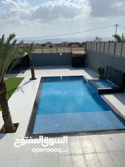  7 شاليهات للبيع البحر الميت منطقة البحيرة luxury chalet for sale al-buhayrah area