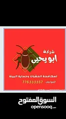  3 مكافحة الحشرات المنزلية بكل أنواعها في صنعاء