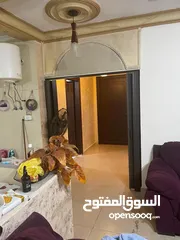  6 فرصة استثمارية شقتين بشقة واحدة، شقة غرفة نوم واحدة و الثانيه غرفتين نوم في ضاحية النخيل