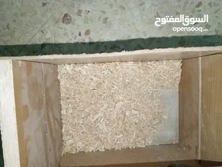  8 لعشاق الزق اليدوي