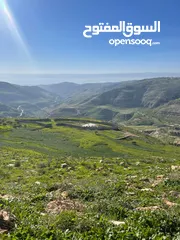  8 3.400 ماحص بعد الميده