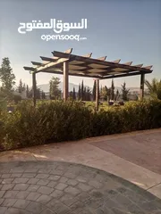  9 تعهدات ديكور