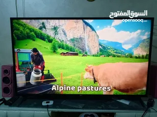  5 شاشه بحال الوكاله بتجننننن
