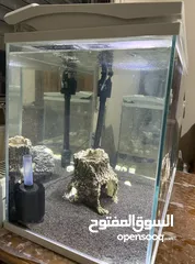  3 حوض سمك للبيع