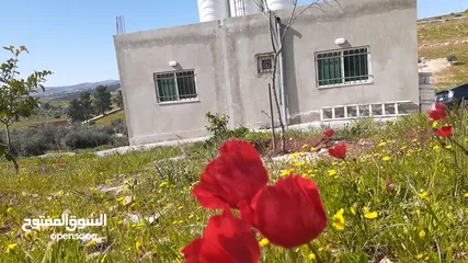  3 مزرعه 3400 م مع بيت ريفي للبيع شرق جرش  دحل المدور  حمامه