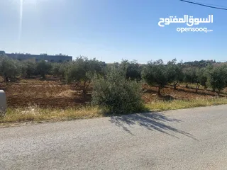  5 قطعتان ارض للبيع احدهما تجاري و الاخرى سكني ب على مدخل ذيبان /مادبا