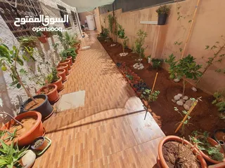  19 شقة للبيع الزرقاء ضاحية المدينة المنورة من مالك مباشر قريب من جميع الخدمات