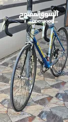  14 دراجه أصلية من شركة ARAYA EXR (Excella Race)