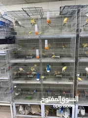  4 محل حيونات للبيع